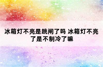 冰箱灯不亮是跳闸了吗 冰箱灯不亮了是不制冷了嘛